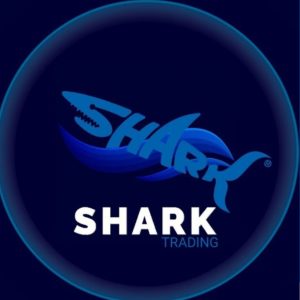Shark Trading