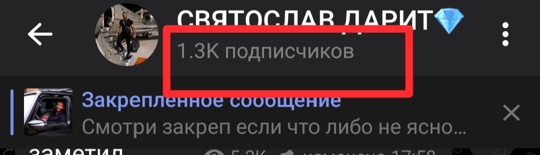 святослав дарит отзывы