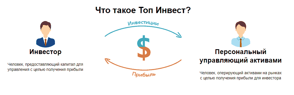 top invest org