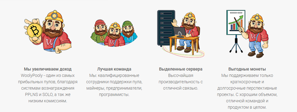 «Вули Пули»
