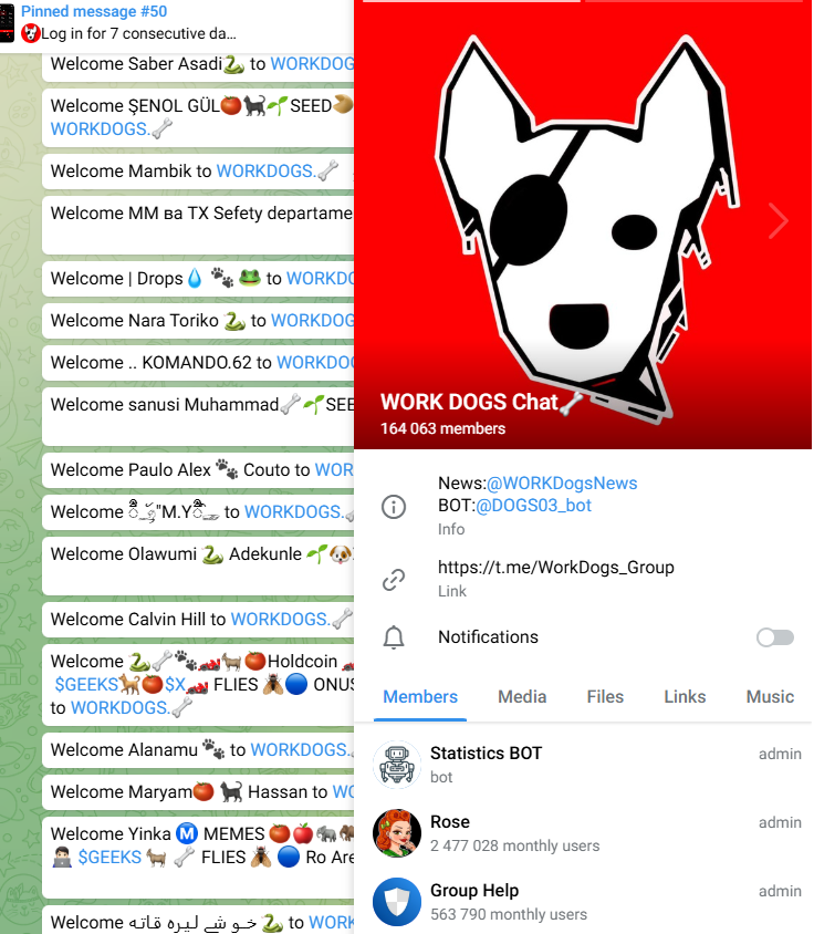workdogs когда листинг