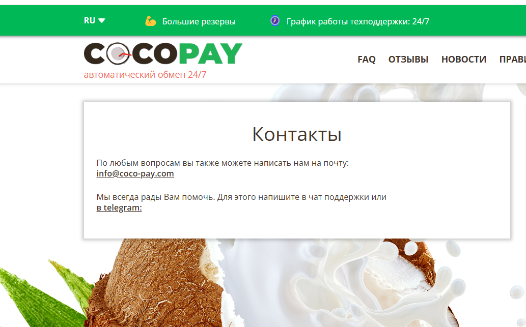 coco pay обменник