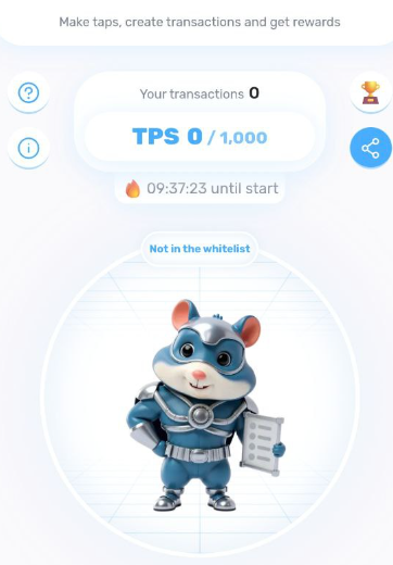 hamster boost что нужно делать