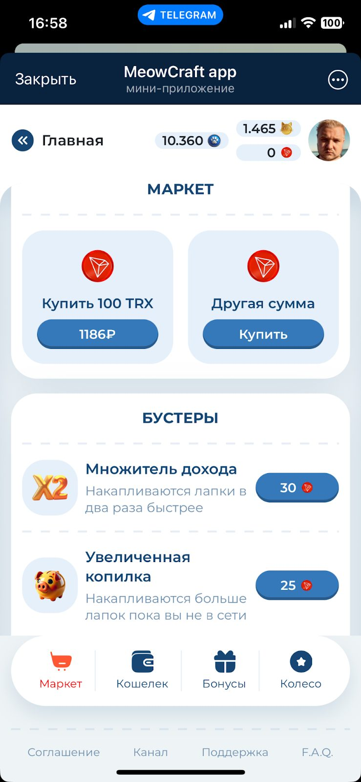 meow craft обзор