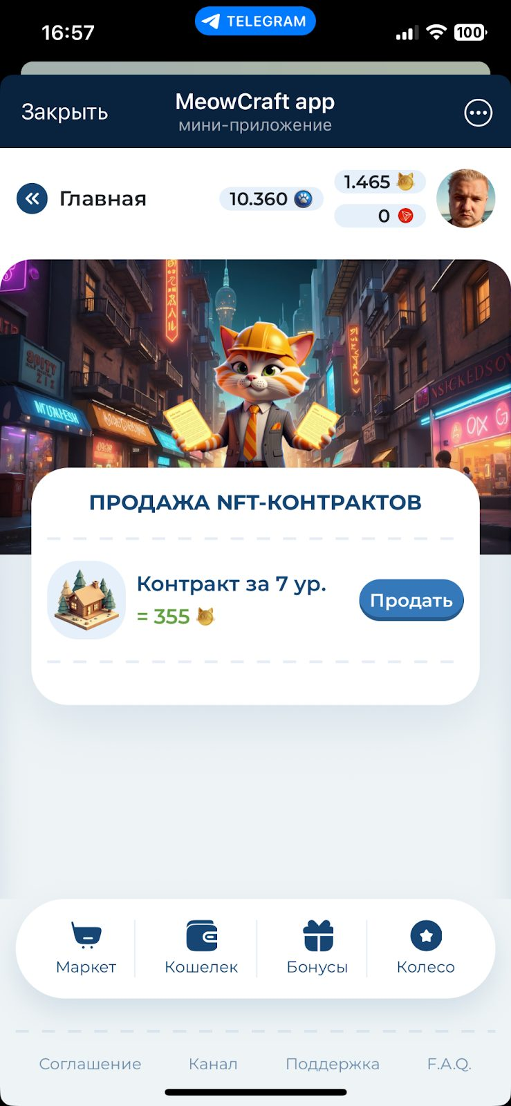 meowcraft обзор