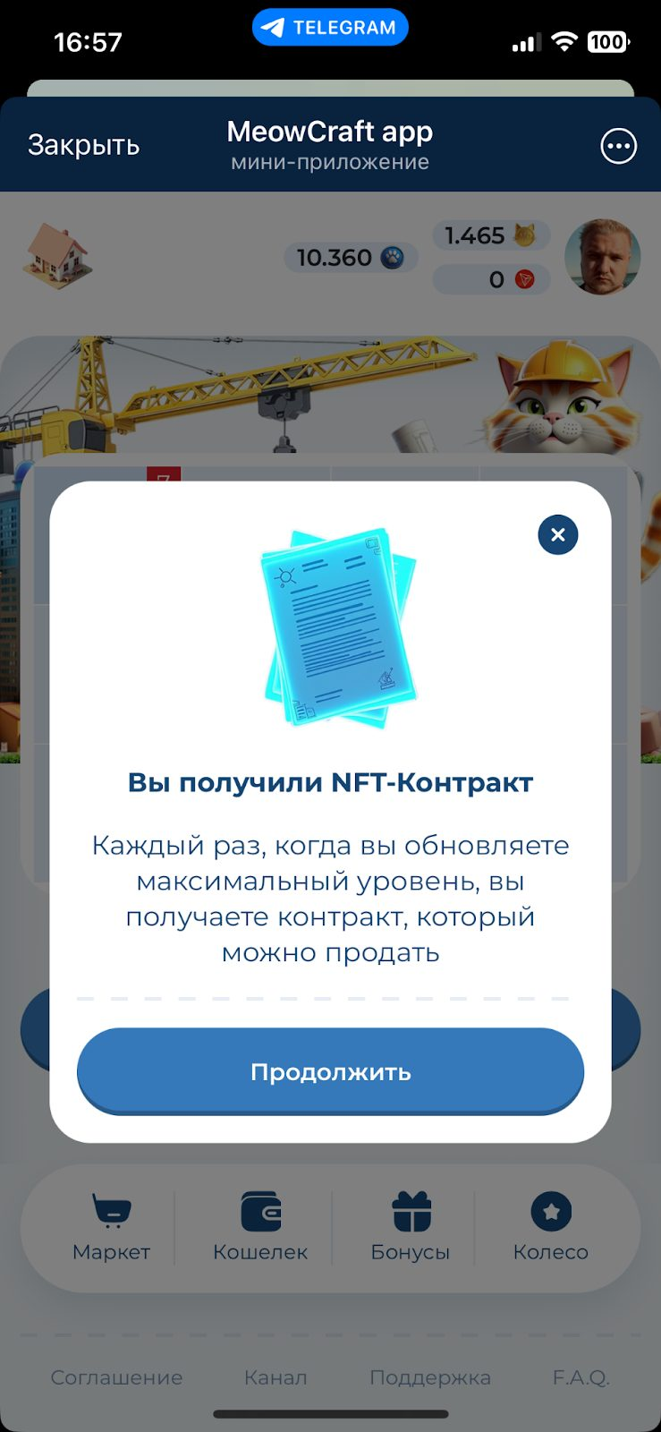 meowcraft проверка