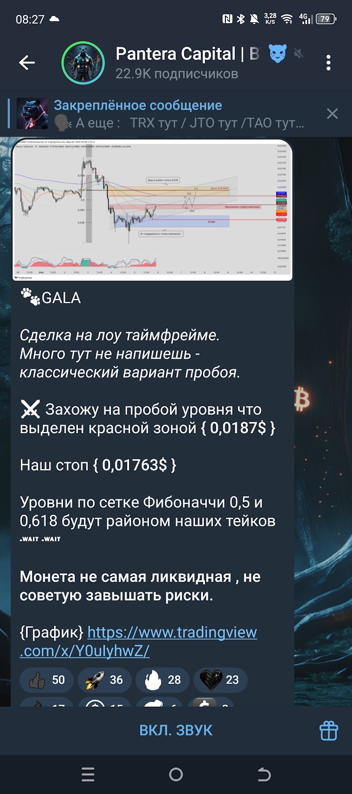 Пантера Капитал отзывы