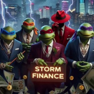 Storm Finance ⚡️переводы и Оплаты по Всему Миру