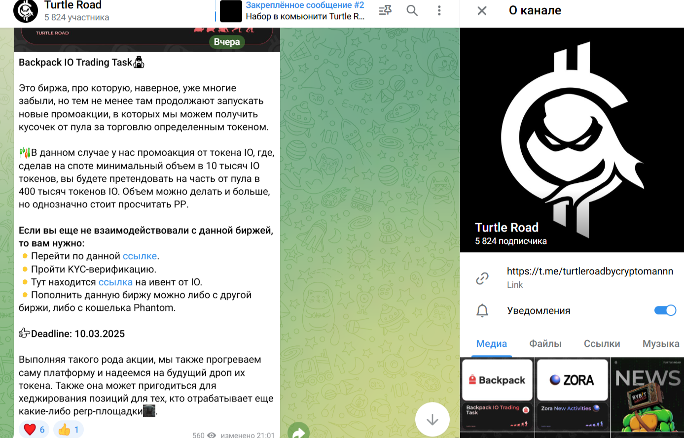 Turtle Road отзывы