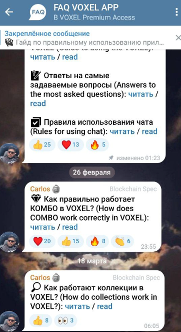 voxel verse bot