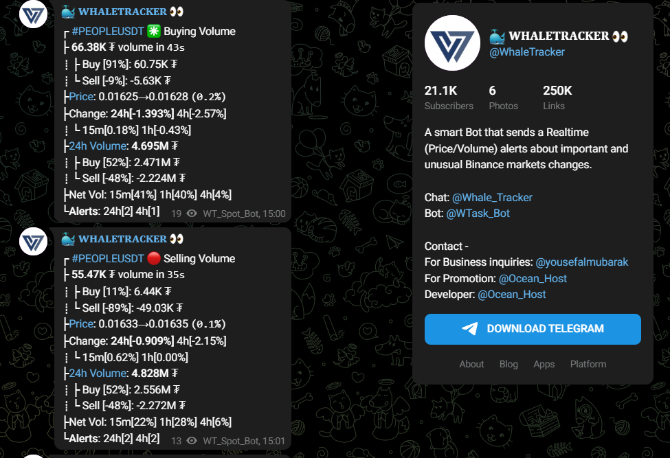whale tracker