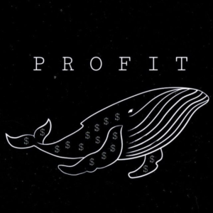 Whale Trade🐋 | Данил Ткачев