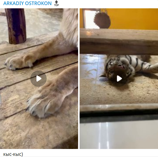 аркадий острокон крипта