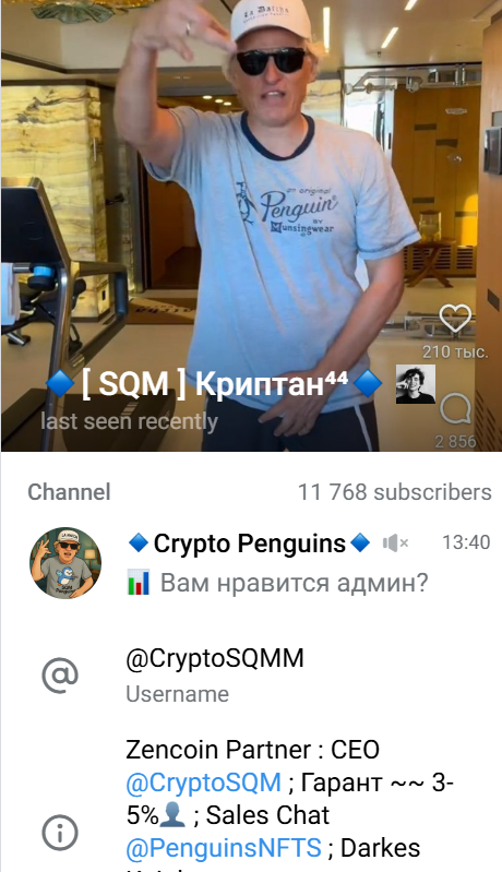 Crypto Penguins