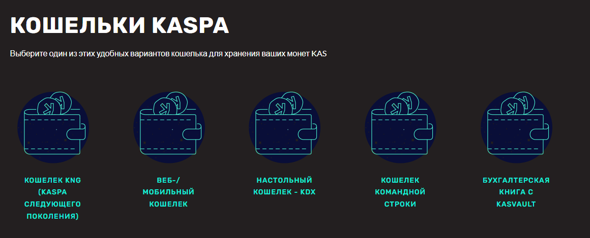 kaspa топ кошельки