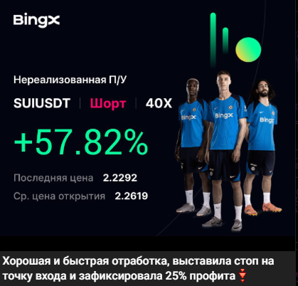 леди на пике рынка