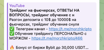 morzh телеграмм канал