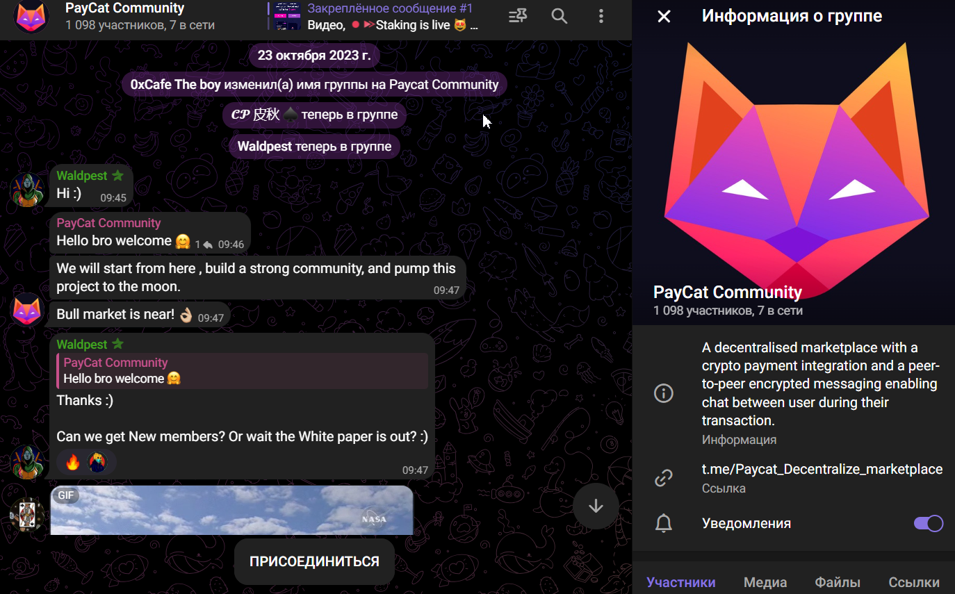 paycat