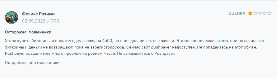 pushpayer обменный сервис