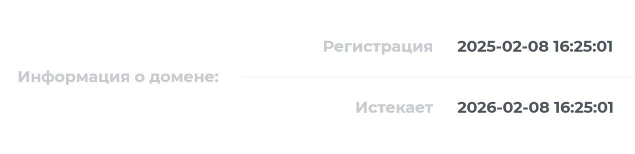 shine trading