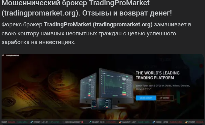 tradingpromarket org