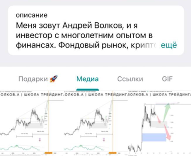 волков а школа трейдинга