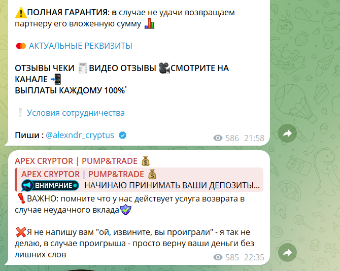 apex cryptor