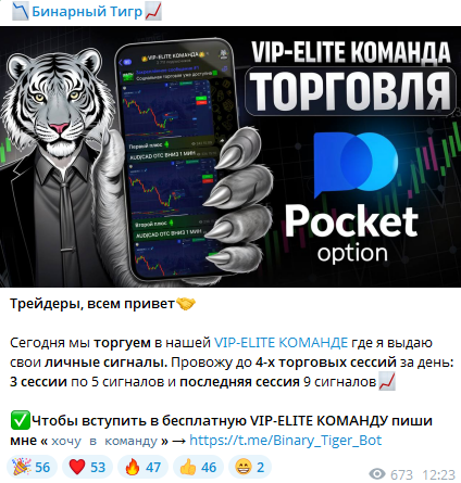 бинарный тигр отзывы бинарный тигр отзывы