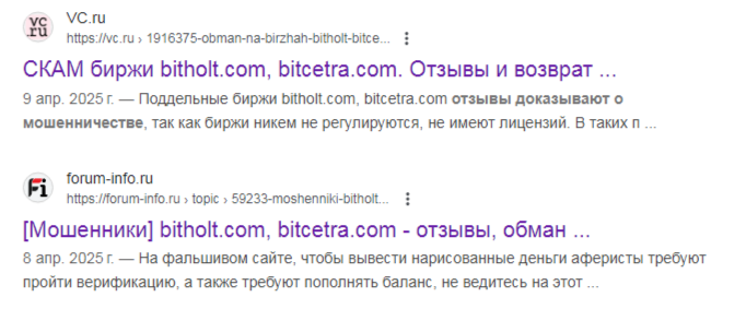 bitholt com