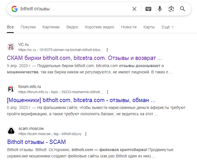 bitholt com