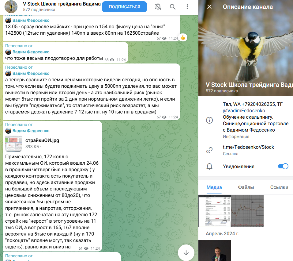 дивиденды профессиональный авторский метод