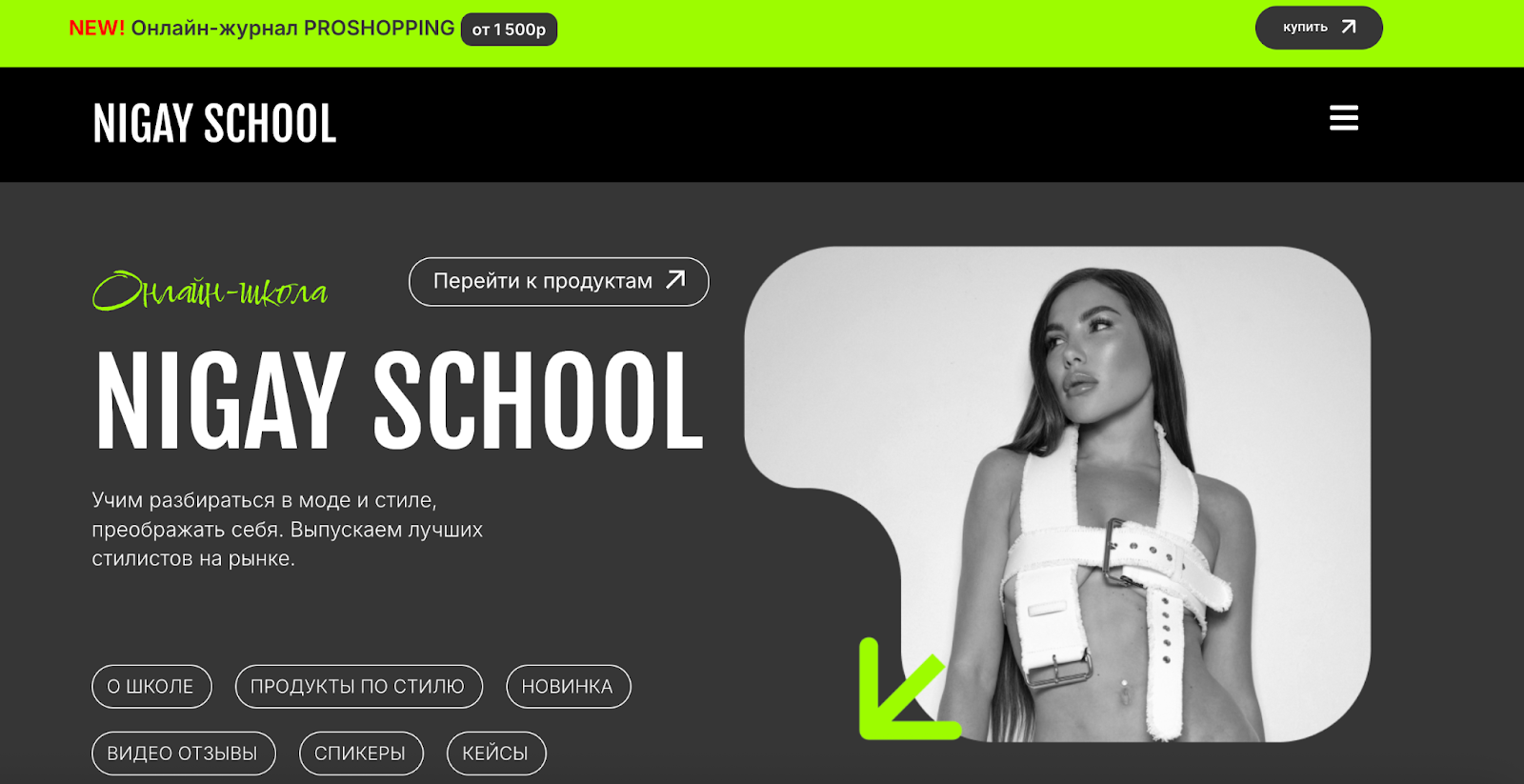 карина нигай биография чем занимается