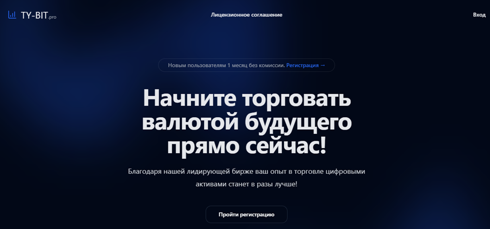 Ty Bit Pro отзывы