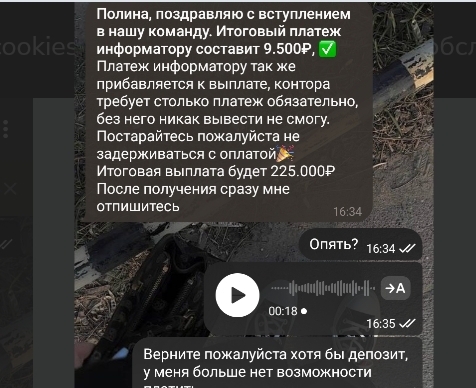 заработок с катей отзывы