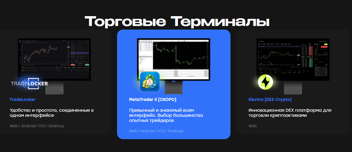 bold fund отзывы