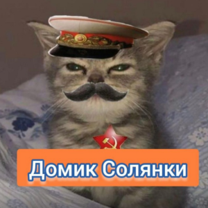 Домик Солянки