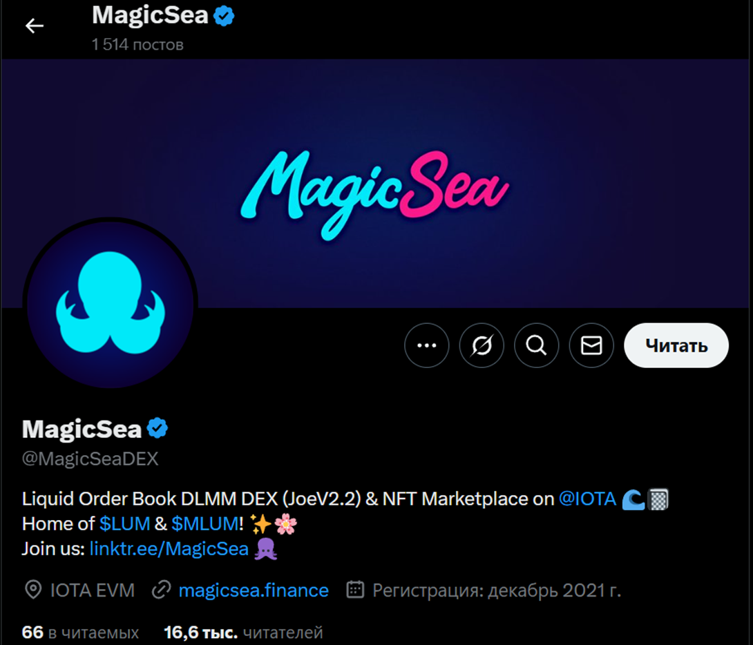 magicsea обзор