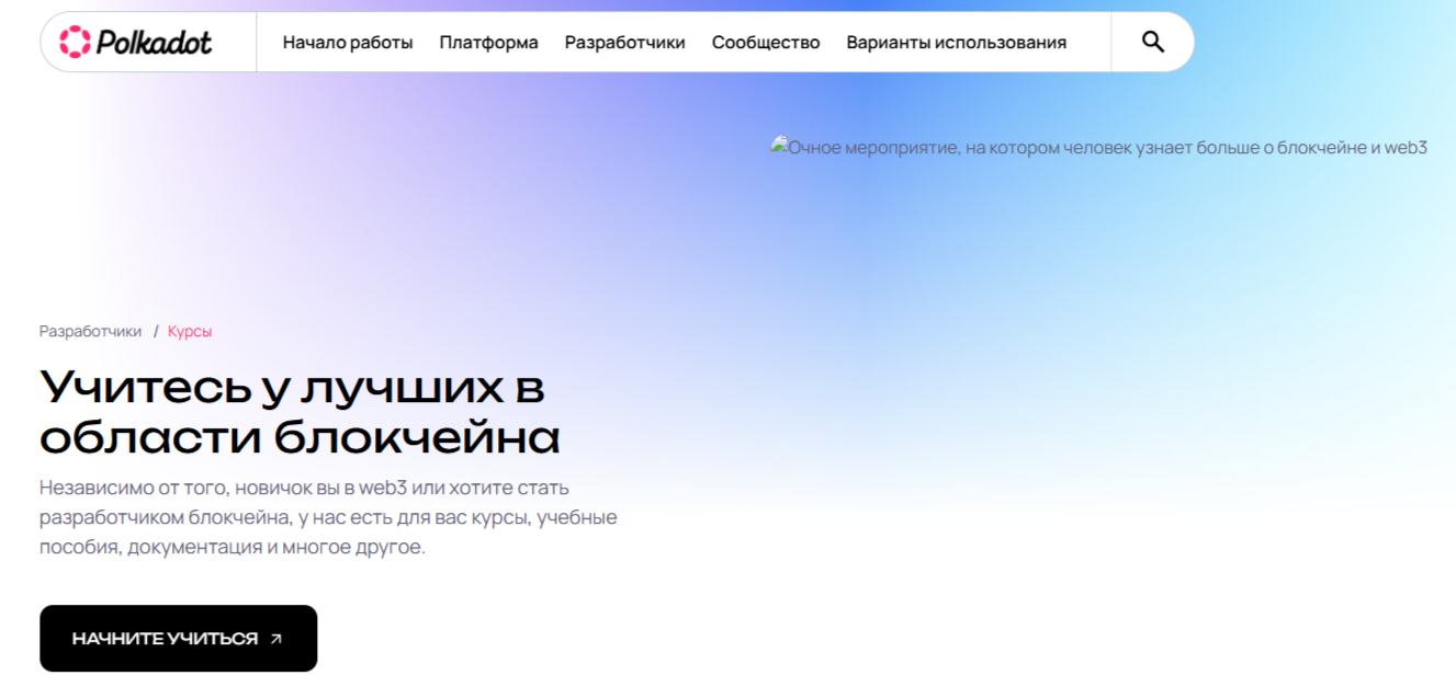 polkadot криптовалюта