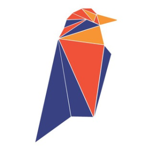 Ravencoin Rvn