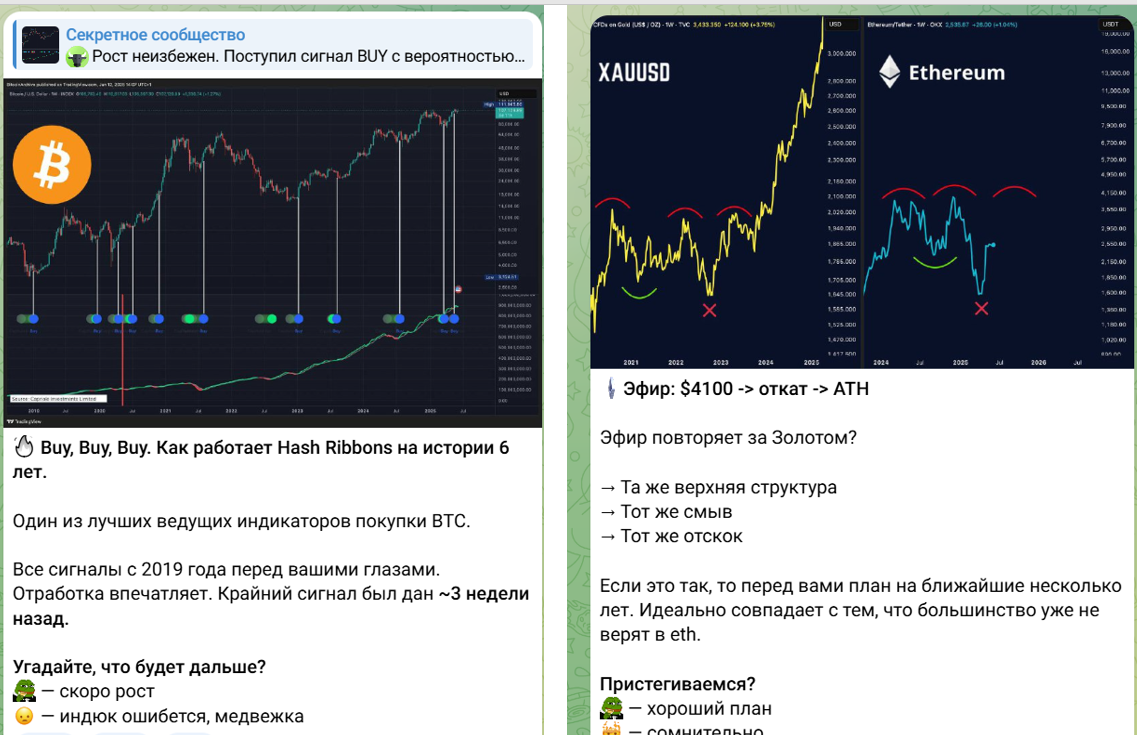 секретное сообщество телеграм
