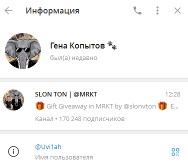 slon ton