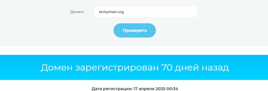 teslachain net
