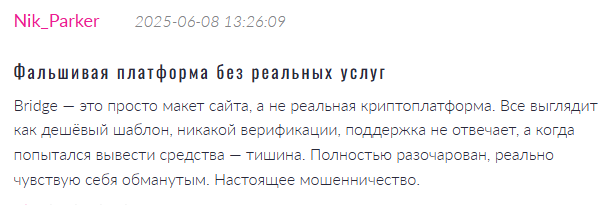 bridgeswap app отзывы