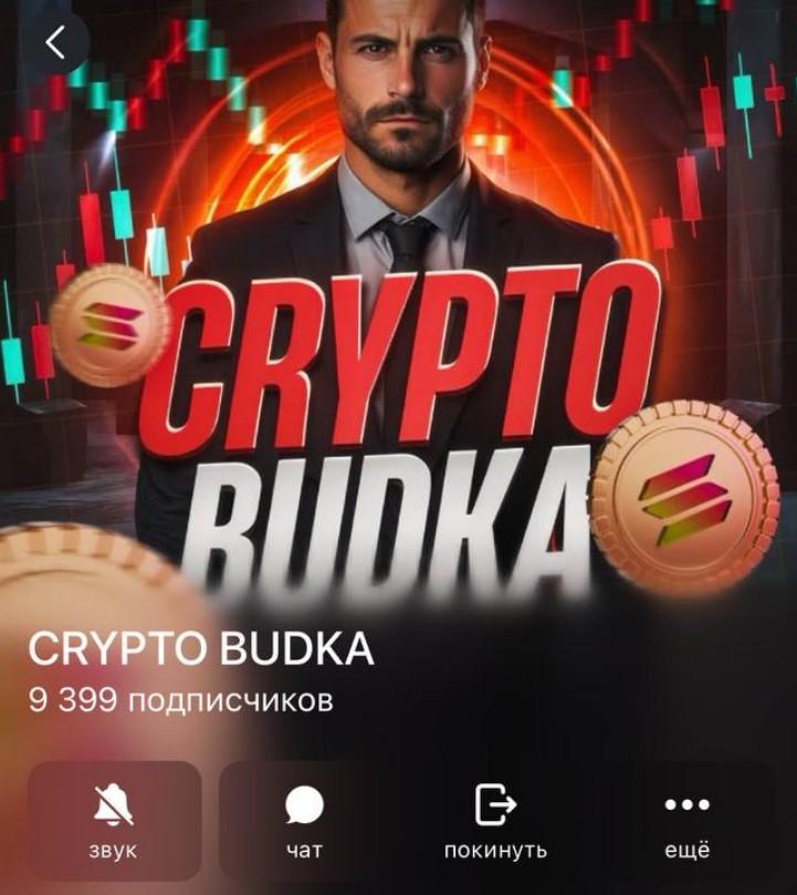 Crypto Budka отзывы