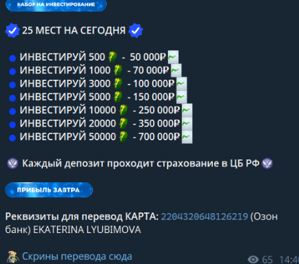 Крипто гуру Екатерина