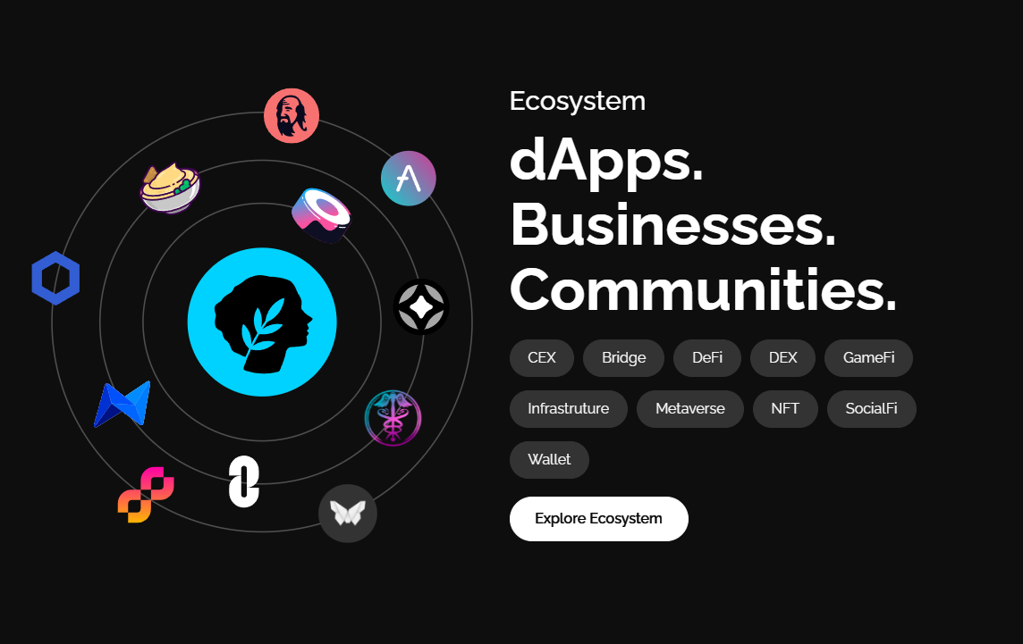metis token