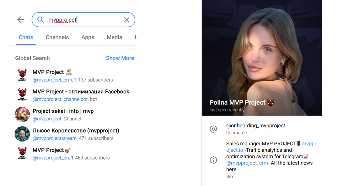 mvp project обзор