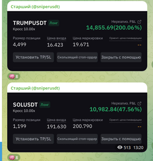 «Старший Sniperusdt» «Старший Sniperusdt»
